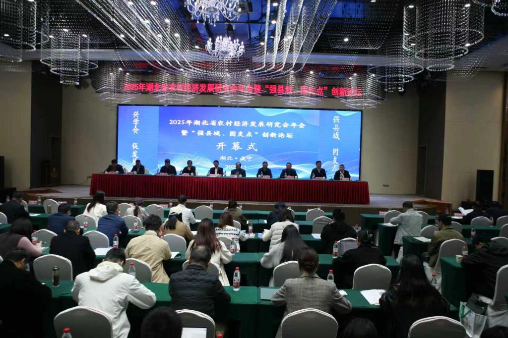 中国农谷发展研究中心参加2025年湖北省农村经济发展研究会年会暨“强县域、固支点”创新论坛